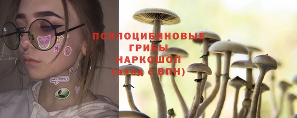 круглые Алзамай