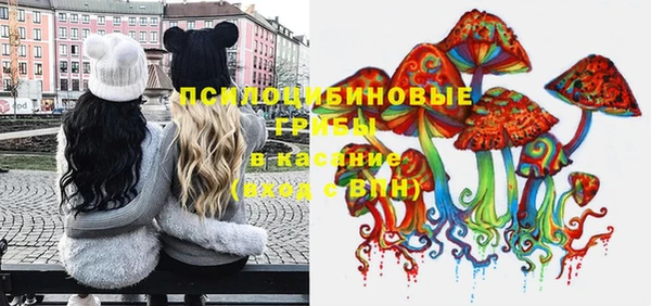 spice Алексеевка