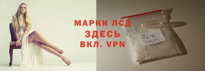 spice Алексеевка
