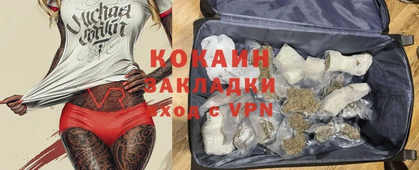 стаф Осинники